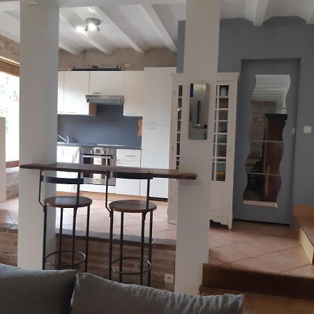 Charmant Appartement Vue Sur La Riviere. Albi Eksteriør bilde