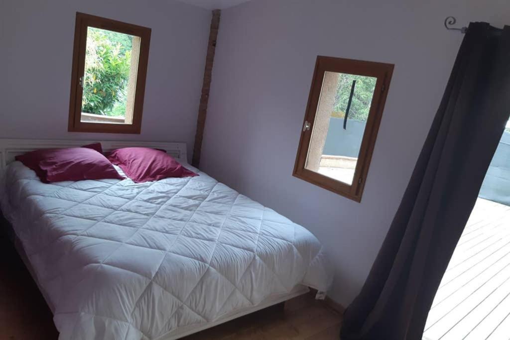 Charmant Appartement Vue Sur La Riviere. Albi Eksteriør bilde