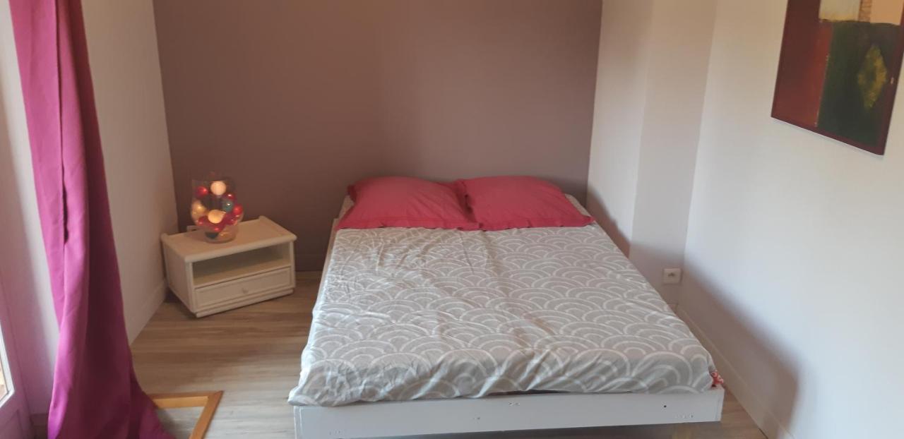 Charmant Appartement Vue Sur La Riviere. Albi Eksteriør bilde