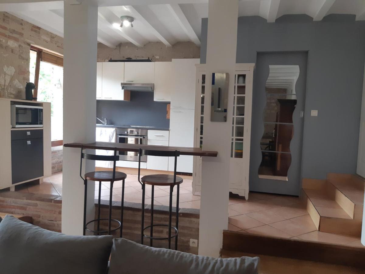 Charmant Appartement Vue Sur La Riviere. Albi Eksteriør bilde