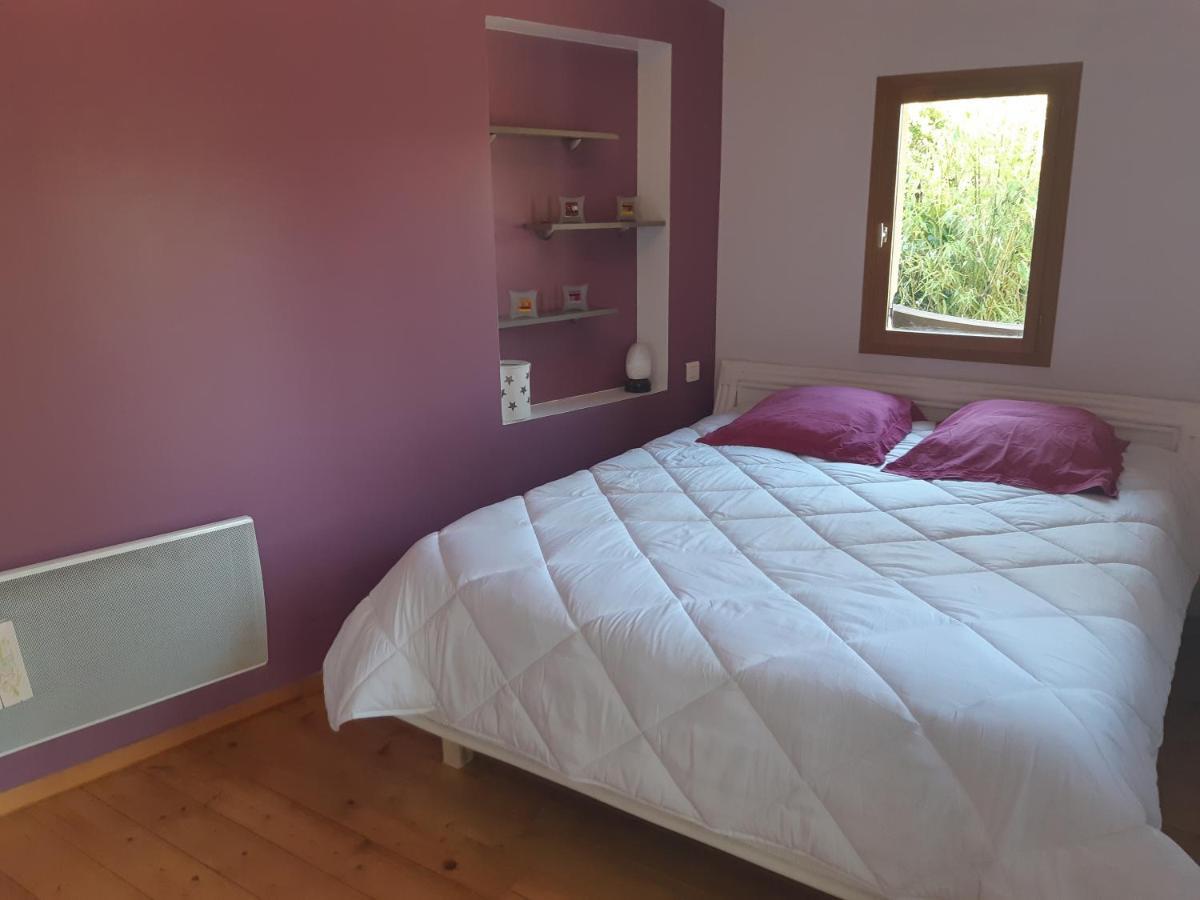 Charmant Appartement Vue Sur La Riviere. Albi Eksteriør bilde