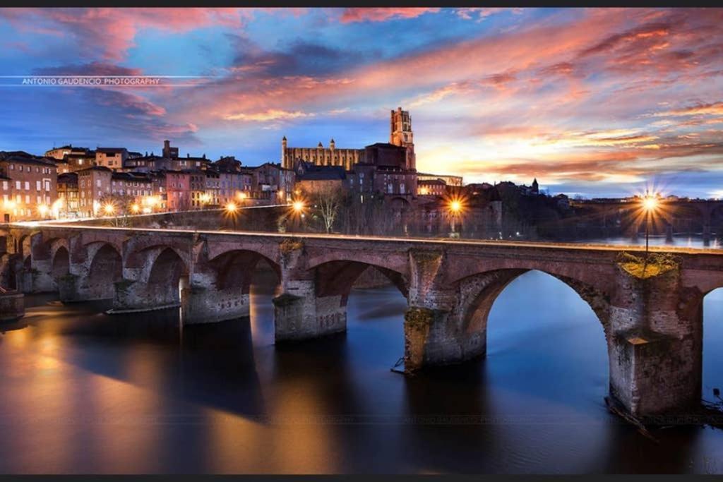 Charmant Appartement Vue Sur La Riviere. Albi Eksteriør bilde